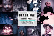 Lightroom Preset - Black Cat, an Action Add-On by Design Aesthetic (Thumbnail 1 of 12)