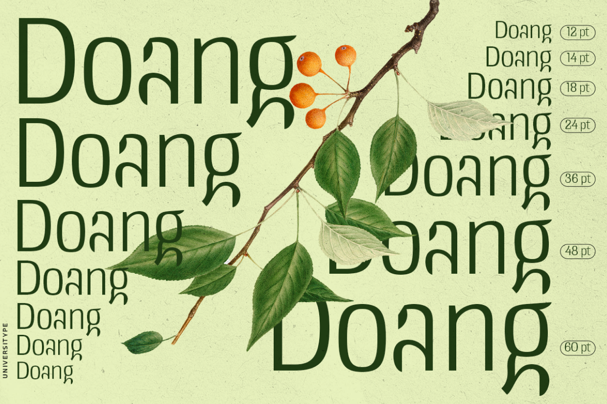 UT Doangs - An Ornament Display Font, a Sans Serif Font by Universitype (Photo 15 of 15)