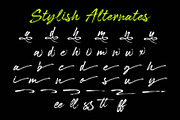 Bableya - Modern Handbrush Script, a Handwritten Font by Sealoung (Thumbnail 11 of 12)