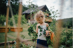 Little girl holding freshly, a Food & Drink Photo by HalfPoint