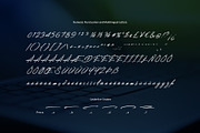 Destiny Handwritten Font, a Script Font by sunnytudu (Thumbnail 8 of 8)