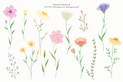 Watercolor Flowers Collection, a Decorative Illustration by An Design (Thumbnail 2 of 5)
