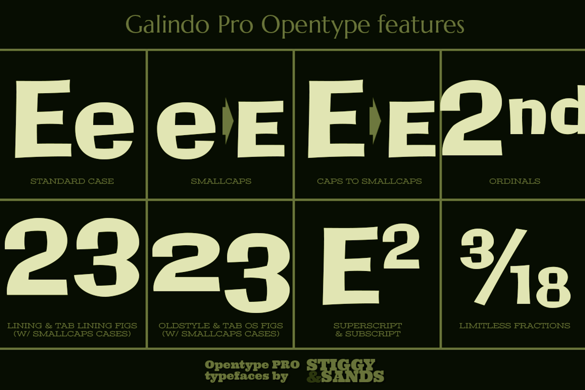 Galindo Pro preview 4