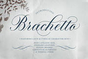 Brachetto Script Font, a Script Font by Leah Design (Thumbnail 1 of 14)