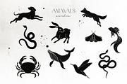 NOCTURNA Hidden Secrets Collection, a Decorative Illustration by Muse Artist (Thumbnail 28 of 47)