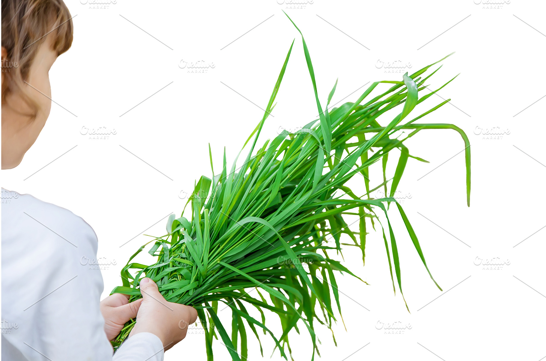 Bio herbs on a home farm a children., a Nature Photo by yanadjana