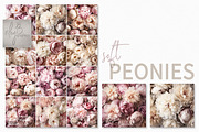 Soft Peonies, a Texture Graphic by rileyBgraphics (Thumbnail 1 of 7)