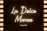 Retrogram - Vintage Monoline Script, a Script Font by HipFonts (Thumbnail 6 of 10)