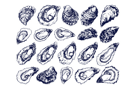 Oysters Icon Set Vector Line Drawing, an Animal Illustration by LadadikArt