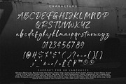 Fightever, a Script Font by Ditatype (Thumbnail 10 of 10)