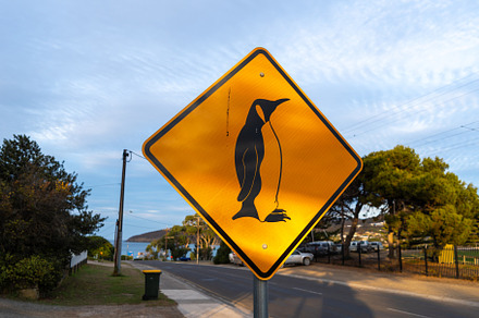 Penguin crossing warning sign on a coastal road, Kangaroo Island