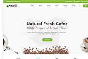 Agroment Organic Food HTML Template, a HTML Template by techboot (Thumbnail 5 of 8)