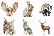 Watercolor Woodland Animals Clipart, an Illustration by DreamArtGraphic (Thumbnail 2 of 8)