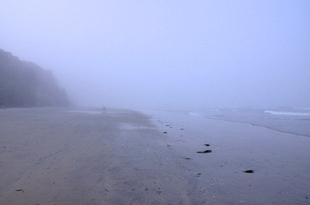 Foggy morning stock photo containing people and beach