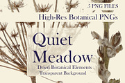 Quiet Meadow — Dried Meadow Botanica, an Object Graphic by Aga Silva (Thumbnail 1 of 4)