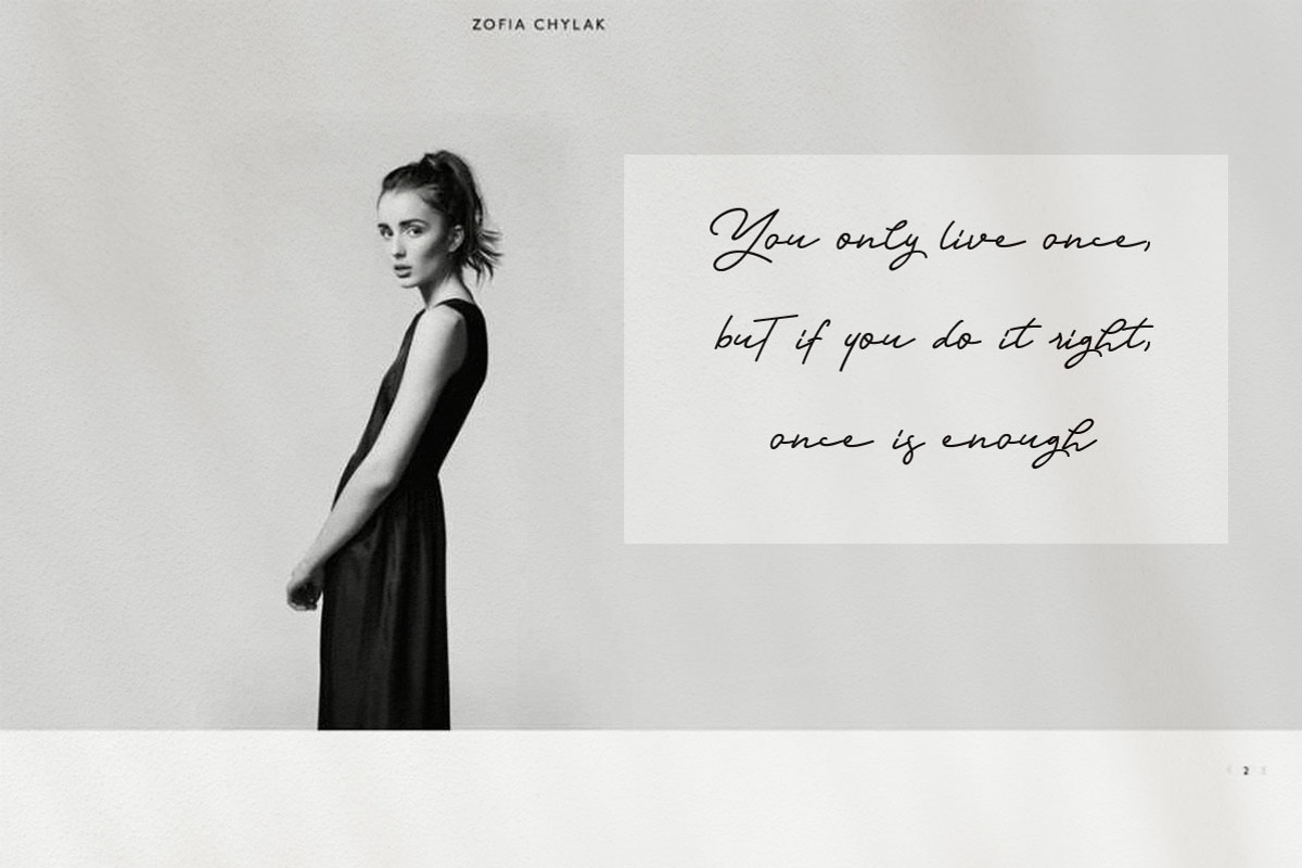 Orlando Signature + Extra Logo, a Script Font by Anxiety Studio (Photo 13 of 14)