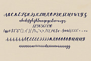 Primrose Script, a Script Font by JuanaLetter (Thumbnail 8 of 8)