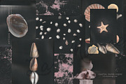 La Maree — Coastal Ephemera, a Background Graphic by nadispasibenko (Thumbnail 5 of 9)