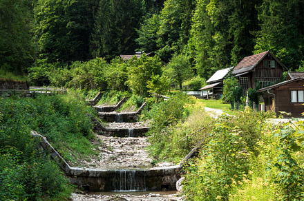 forest. alpine air. waterfall from the mountains