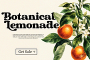 Chigora Dispaly, a Serif Font by Romiecreative (Thumbnail 8 of 12)