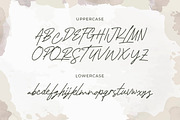 Sweet Beans - Monoline Script, a Script Font by Typefactoryco (Thumbnail 2 of 9)