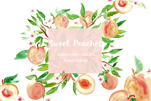 Peach. Watercolor Clip Art.