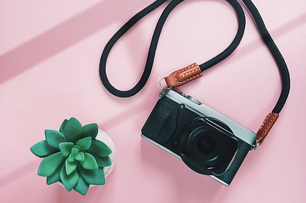 Creative flat lay camera and plant, an Arts & Entertainment Photo by Nuchylee Photo
