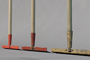 Rake, an Object 3D Model by mockupzz (Thumbnail 3 of 10)