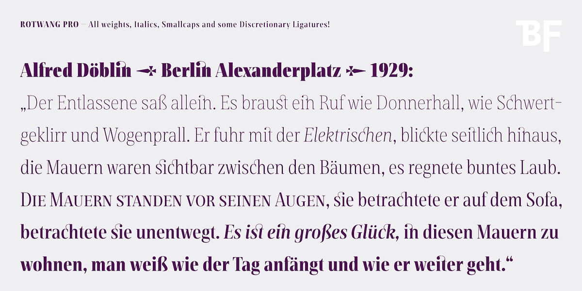 BF Rotwang Pro, a Serif Font by BrassFonts (Photo 12 of 15)