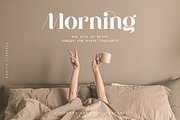 Purity - Modern Ligature Font, a Serif Font by TypeFounder (Thumbnail 5 of 11)