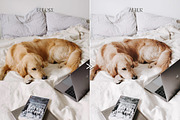 Clean Minimal LUTs for Video Editing, an Action Add-On by CityTurtles (Thumbnail 5 of 6)
