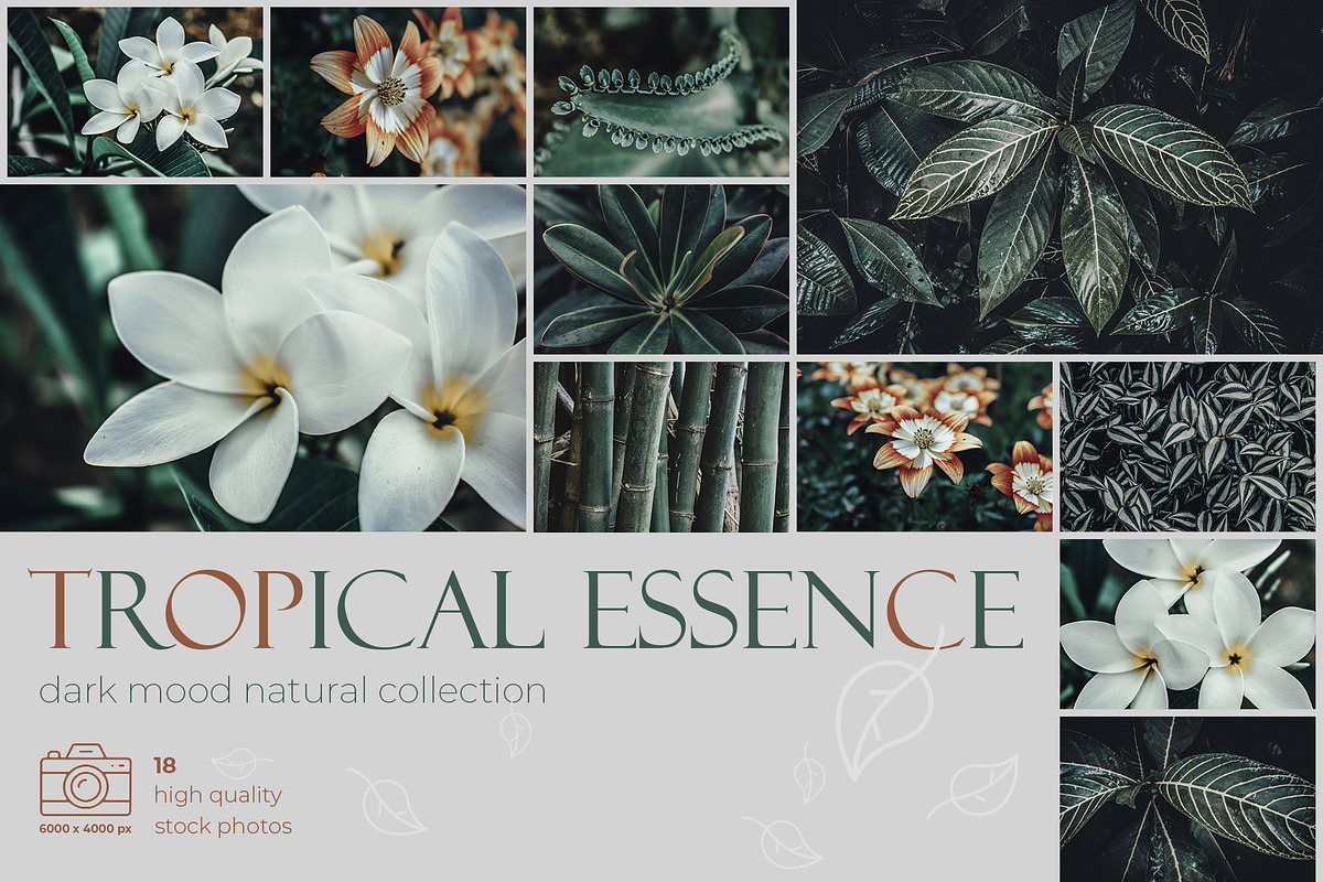 Tropical Essence. Photo bundle, a Wallpaper Graphic by EYWA ART (Photo 3 of 8)