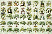 Watercolor Olive Clipart Bundle, an Illustration by NiiiNArt (Thumbnail 9 of 12)