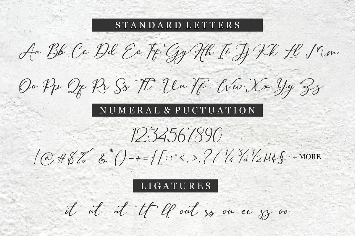 Hilland | A Signature Font, a Script Font by Beautypes (Photo 11 of 13)