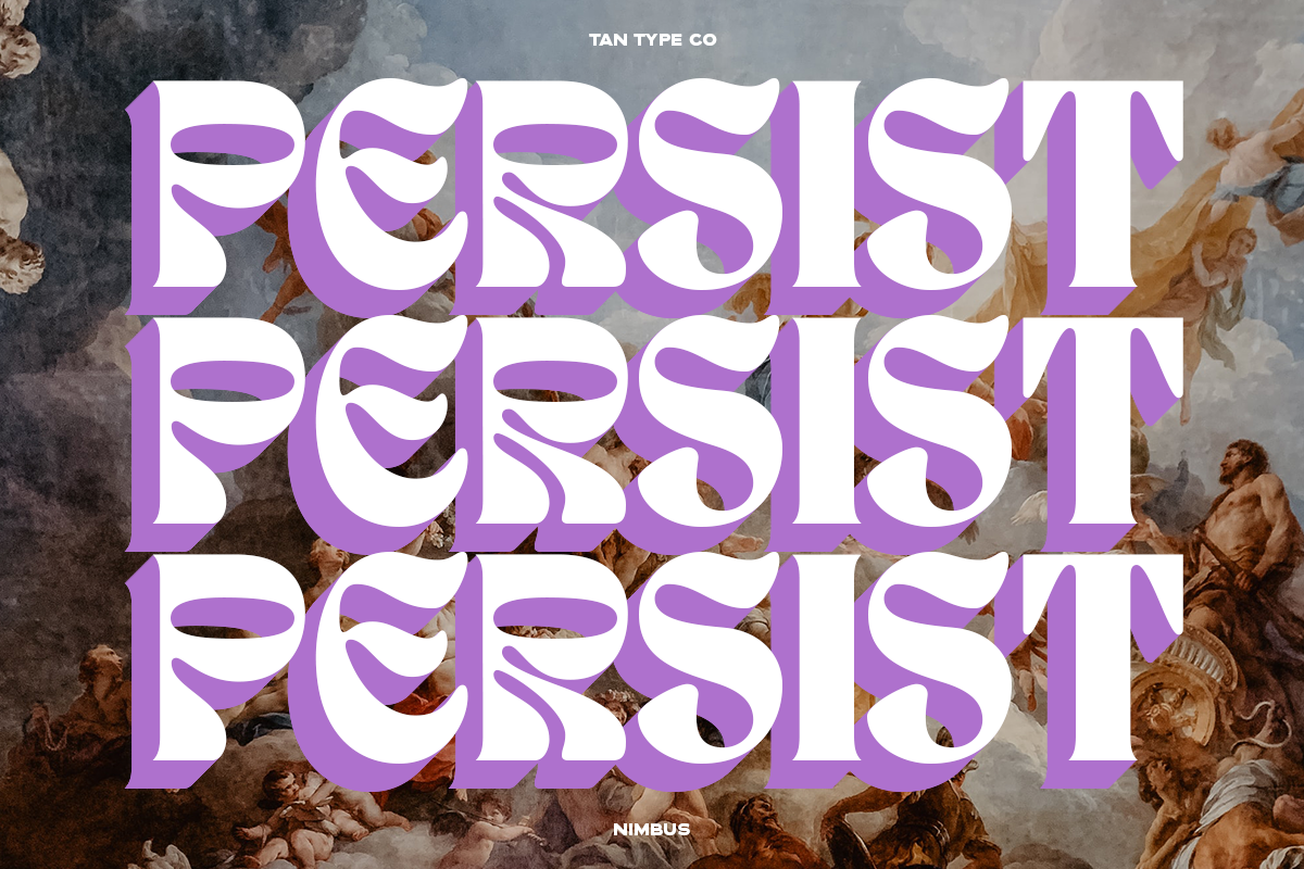 TAN - NIMBUS, a Font by TanType (Photo 9 of 20)
