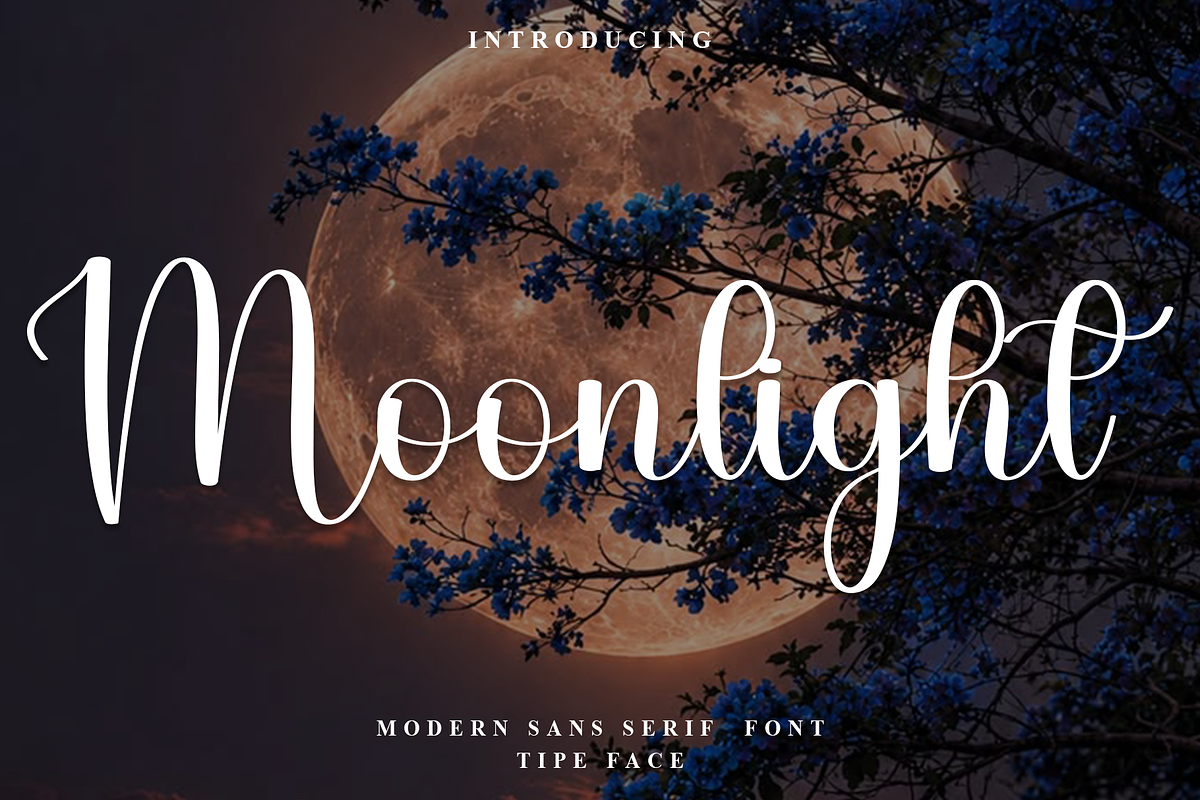 Moonlight, a Handwritten Font by InermediaSTUDIO (Photo 1 of 8)