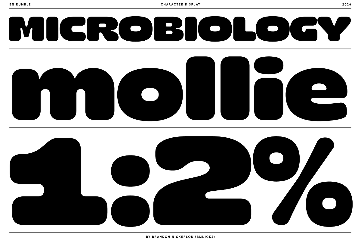 BN Rumble, a Sans Serif Font by Bnick (Photo 4 of 16)