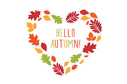 Hand drawn autumn leaves., an Education Illustration by Tkoko vectors & patterns (Thumbnail 8 of 12)