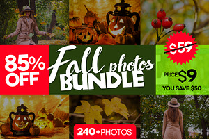 Bundle fall photos /240+pics 