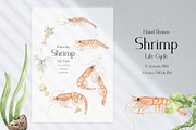 Watercolor Shrimp Life Cycle Set, an Education Illustration by MayaNavits (Thumbnail 2 of 7)