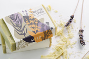 Herbs of Provence Collages & Vectors, a Healthcare Illustration by Yevheniia (Thumbnail 2 of 12)
