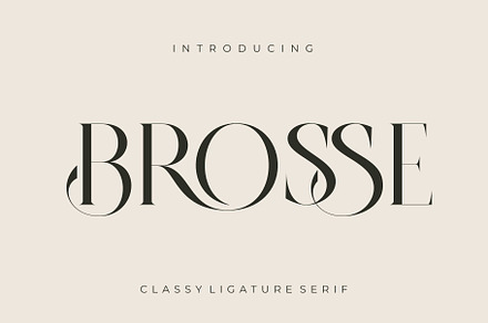 BROSSE Classy Ligature Serif, a Serif Font by Alfinart