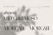 Falery - Modern Serif, a Serif Font by Nirmana Visual (Thumbnail 6 of 8)