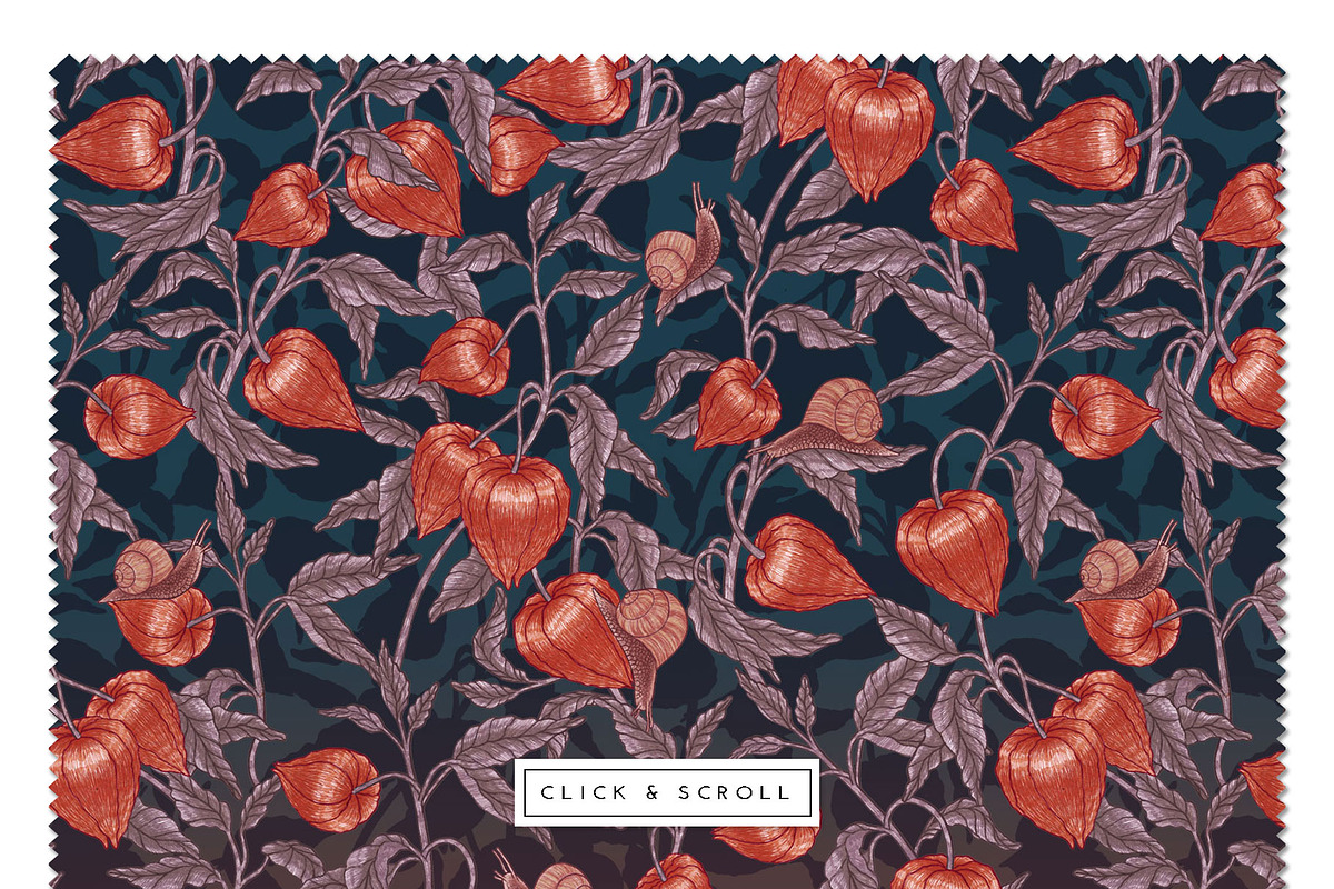 PHYSALIS GARDEN — Botanical Patterns, a Decorative Illustration by Liiafis (Photo 5 of 17)