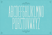 Fabuleuse Slab Font + Free Bonus, a Slab Serif Font by Nuno Dias (Thumbnail 1 of 5)