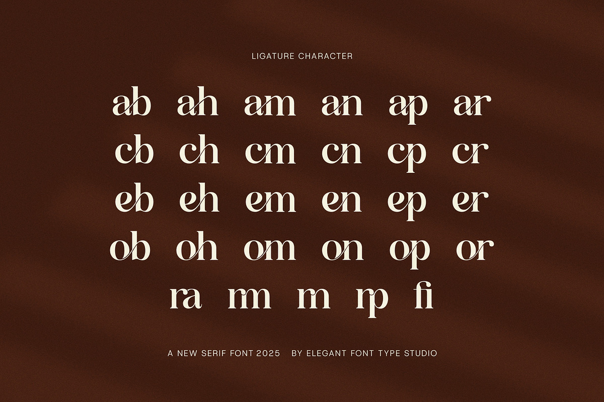 Gareng Elegant Serif Font, a Serif Font by Elegant Font (Photo 8 of 8)