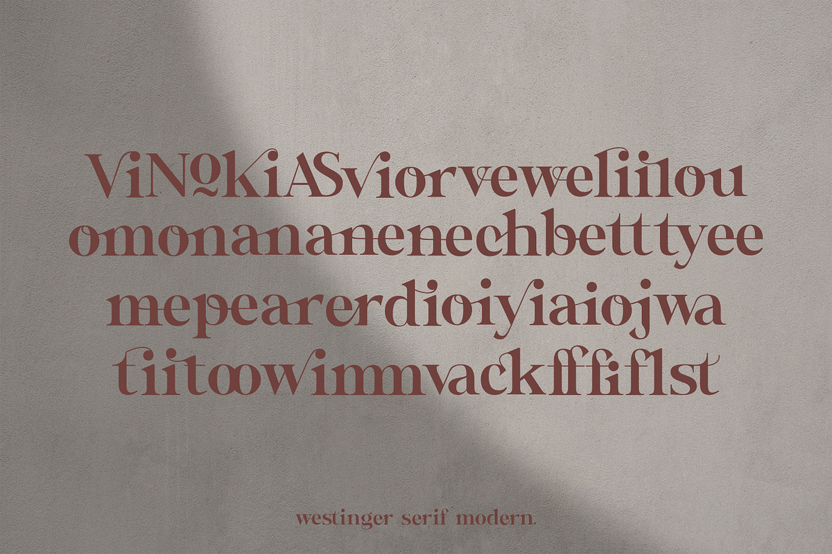 Wastinger Elegant Display, a Serif Font by Typetemp Studio (Photo 16 of 16)