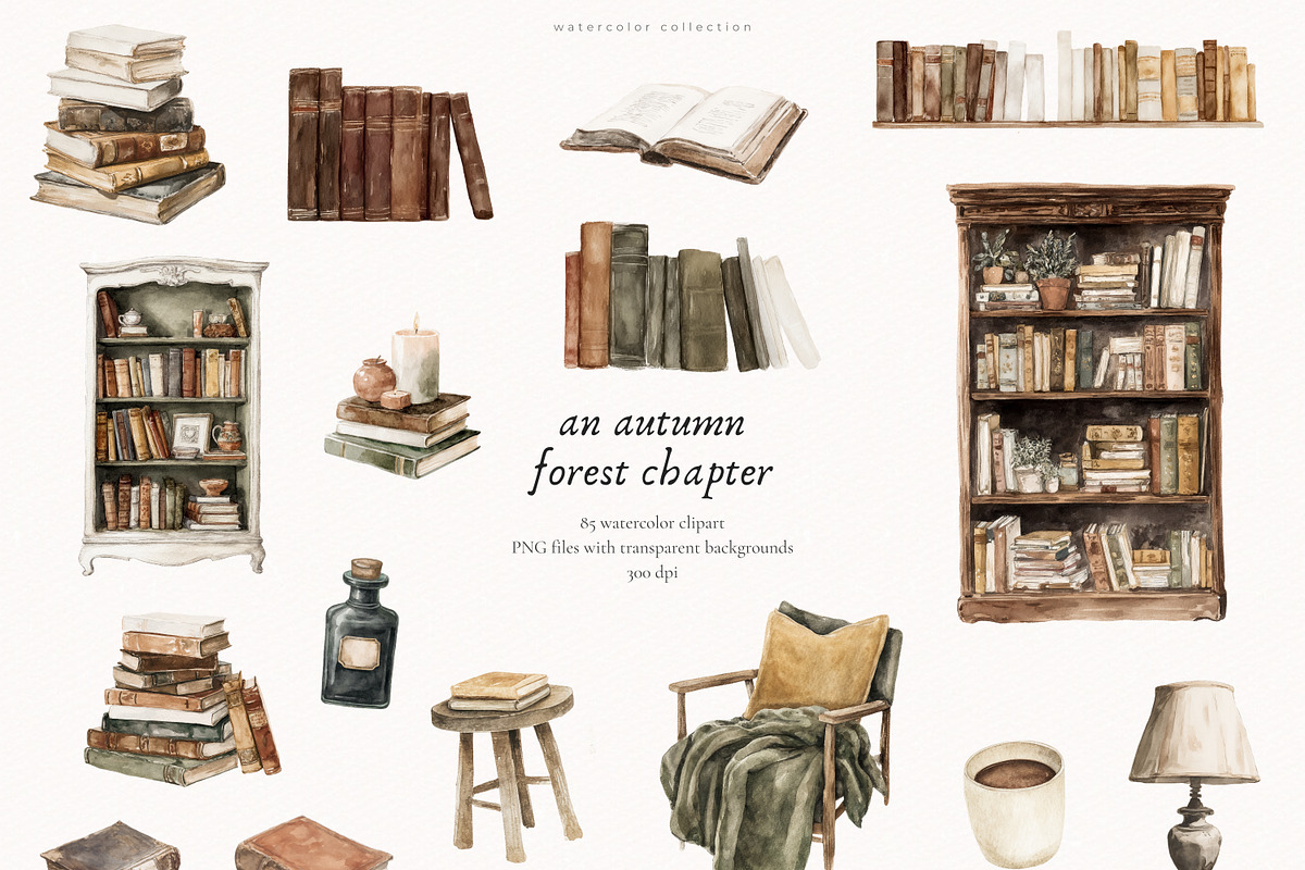 An Autumn Forest Chapter Collection, an Animal Illustration by PeDe Designs (Photo 4 of 29)