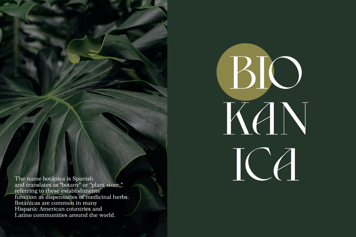 Caprise | Modern Serif, a Serif Font by Muntab_Art (Photo 3 of 11)