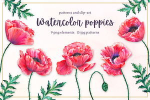 Watercolor poppies